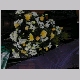 DSCN3253.JPG