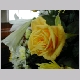 DSCN3256.JPG