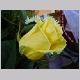 DSCN3257.JPG